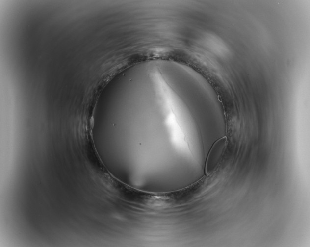 X0000095120222200712211316