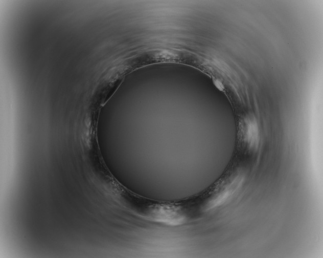 X0000095120223200712211316