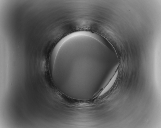 X0000095120224200712211316