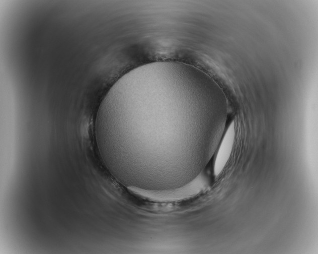 X0000095120225200712211316