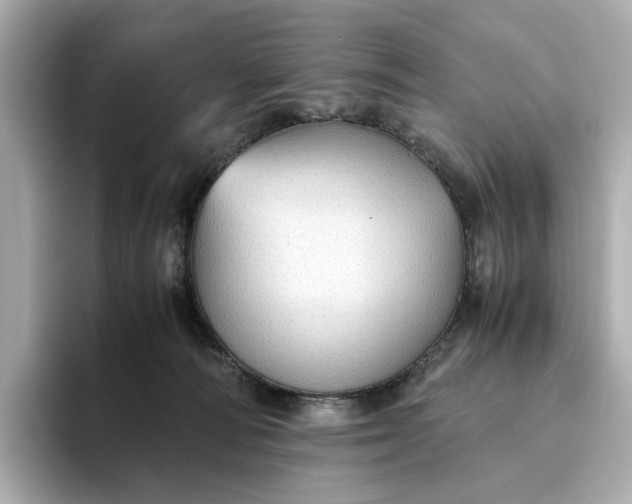 X0000095120226200712211316