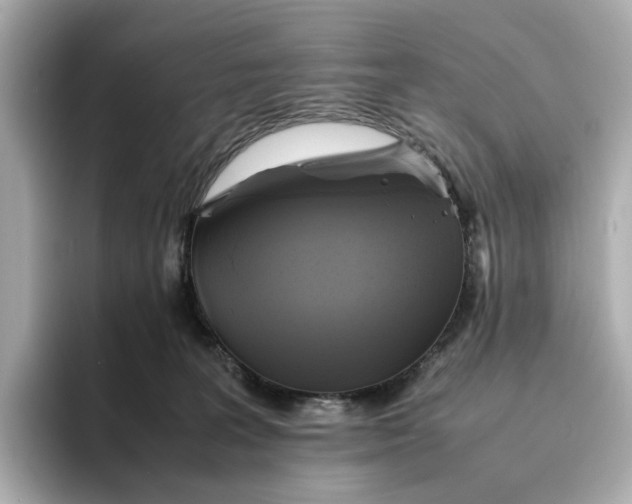 X0000095120227200712211316