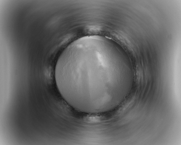 X0000095120228200712211316