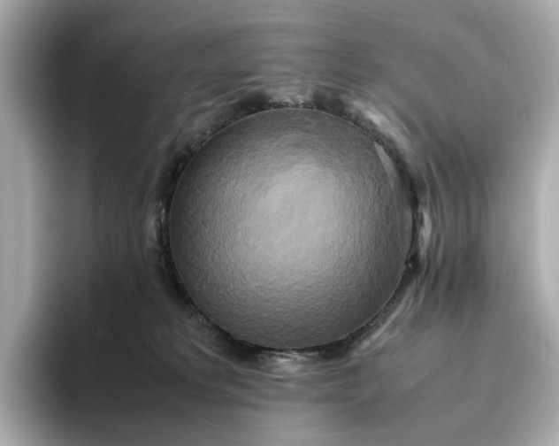 X0000095120229200712211316