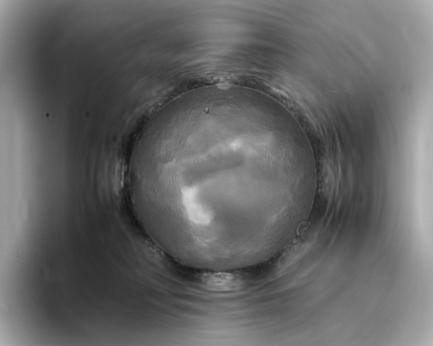 X0000095120230200712211316