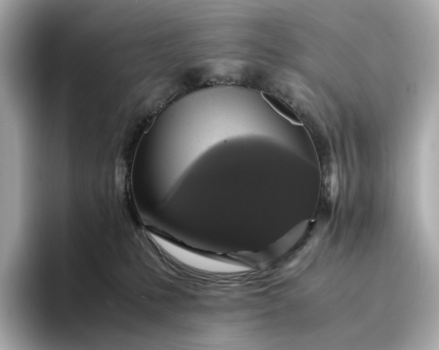 X0000095120231200712211316