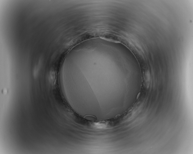 X0000095120232200712211316