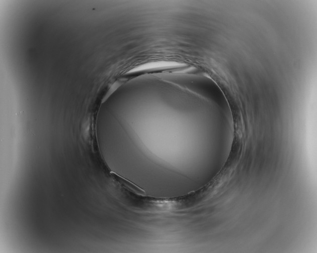 X0000095120233200712211316