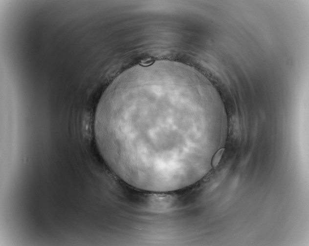 X0000095120234200712211316