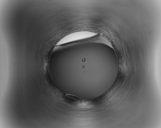 X0000095120235200712211316