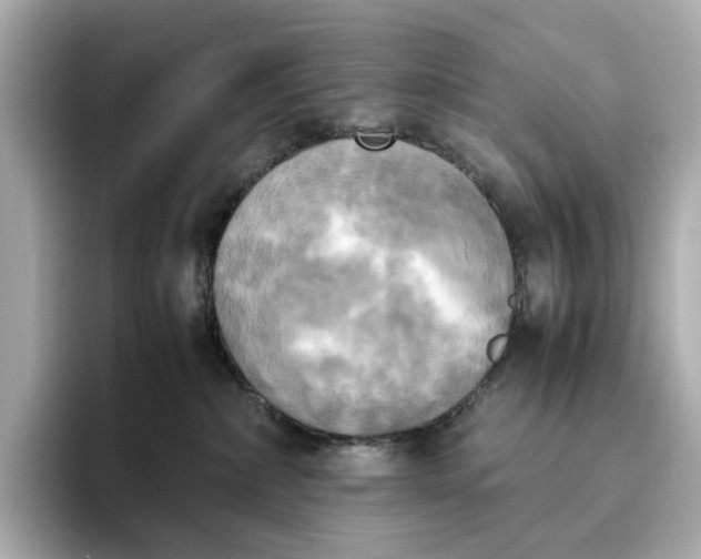 X0000095120236200712211316