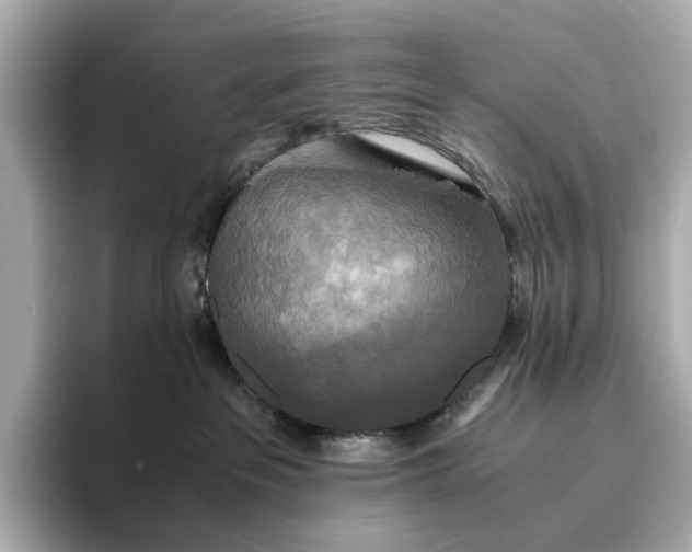 X0000095120237200712211316