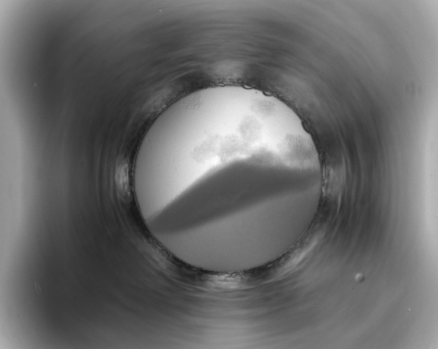 X0000095120238200712211316