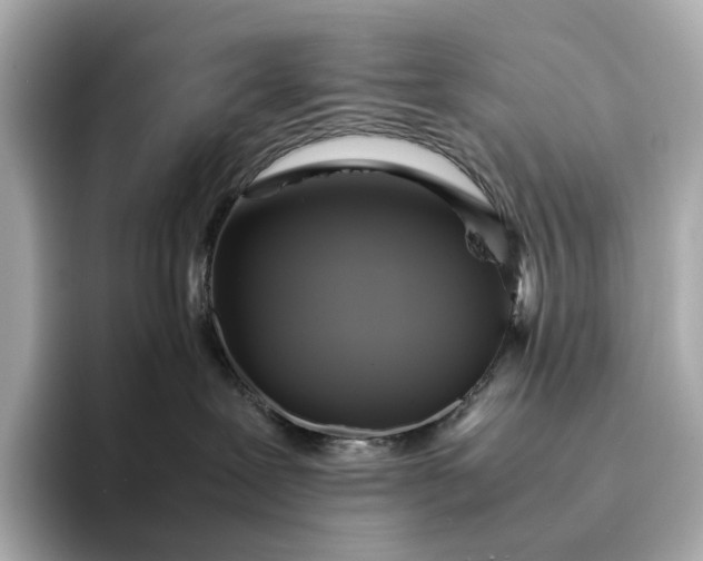 X0000095120239200712211316