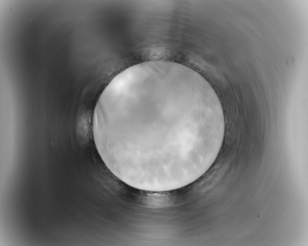 X0000095120240200712211316