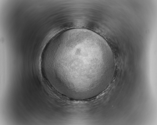 X0000095120242200712211315