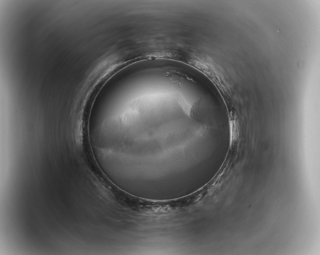 X0000095120243200712211315