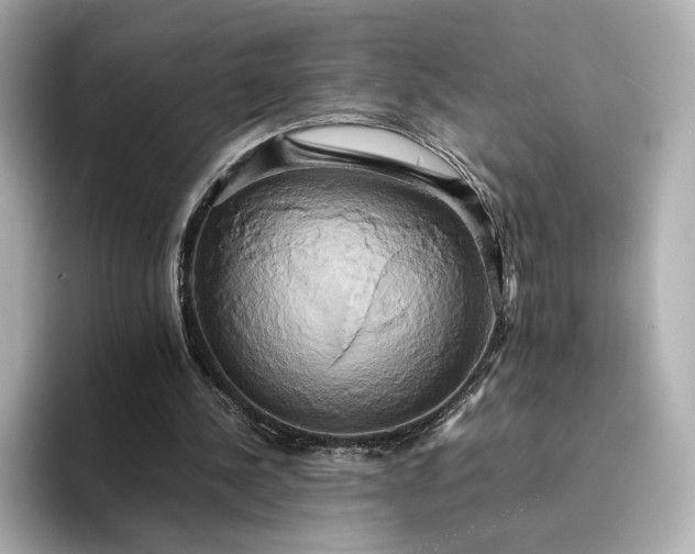 X0000095120244200712211315