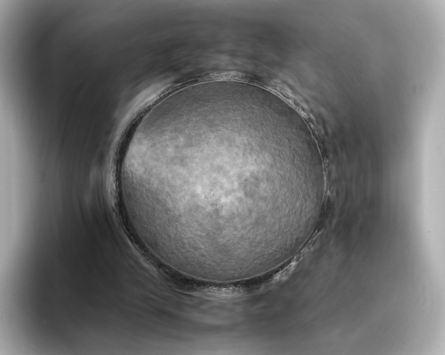 X0000095120245200712211315