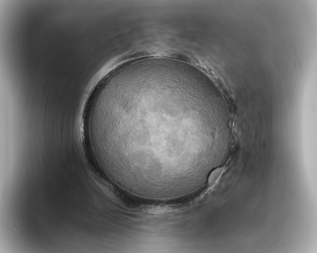 X0000095120246200712211315