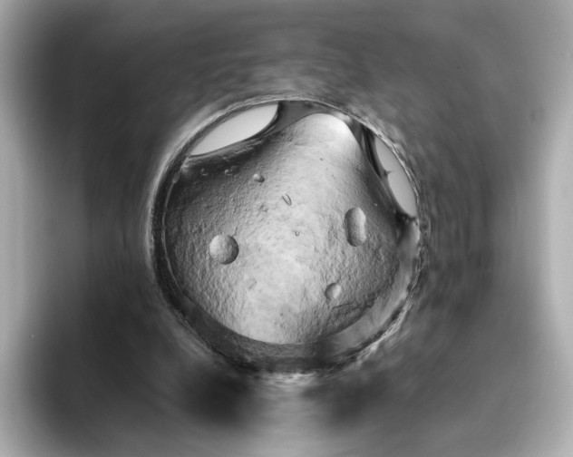 X0000095120248200712211315