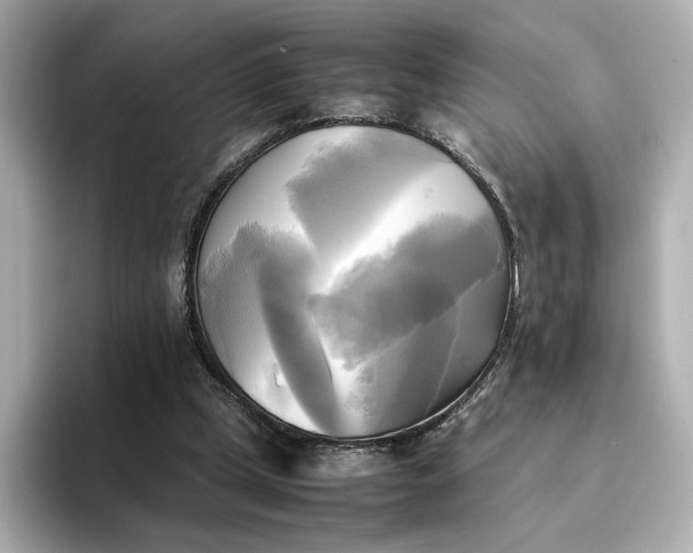 X0000095120249200712211315