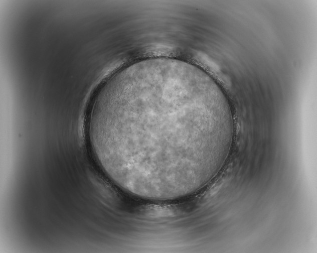 X0000095120250200712211315