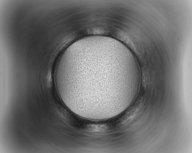 X0000095120251200712211315