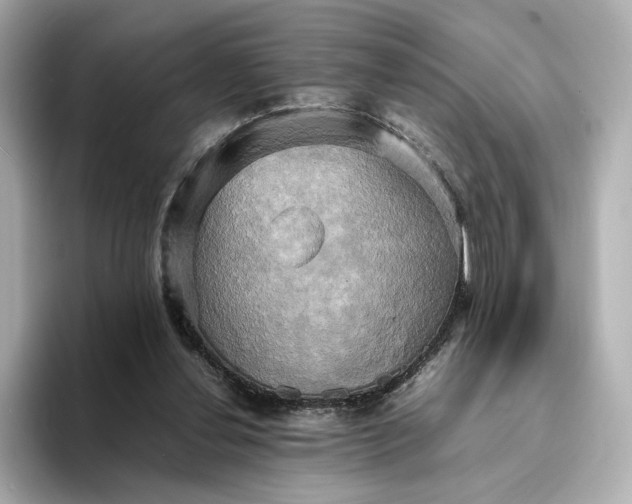 X0000095120252200712211315