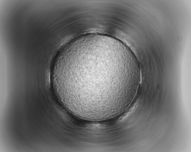 X0000095120253200712211315