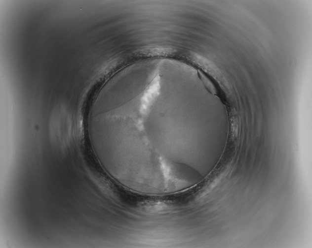 X0000095120254200712211315