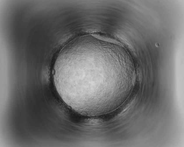 X0000095120255200712211315