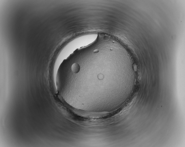 X0000095120256200712211315