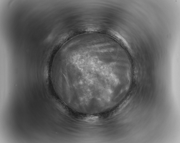 X0000095120257200712211315