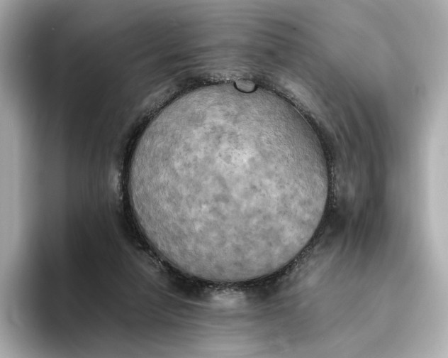 X0000095120258200712211315