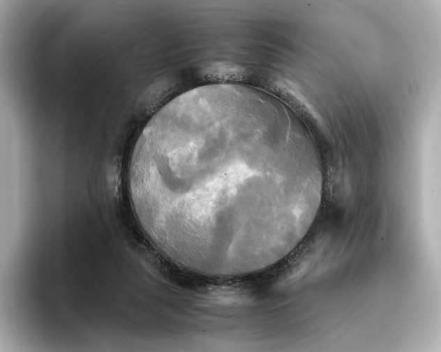 X0000095120259200712211315