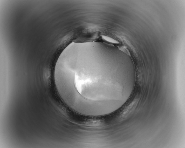 X0000095120260200712211315