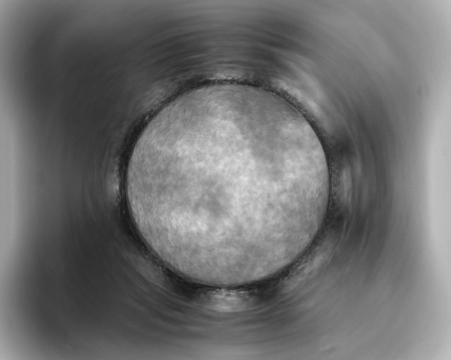 X0000095120261200712211315