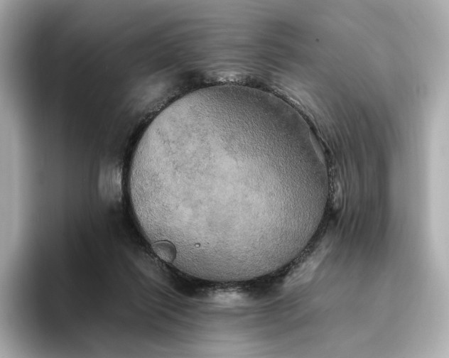 X0000095120262200712211315