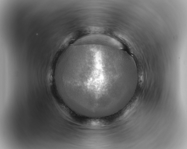 X0000095120264200712211315