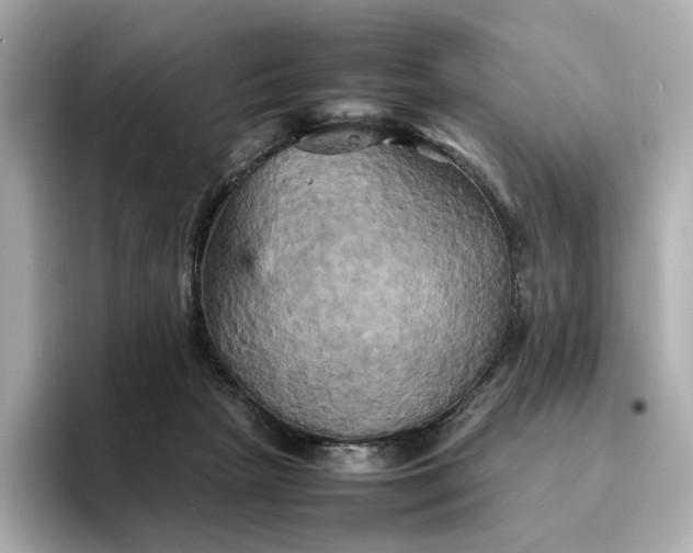 X0000095120265200712211315