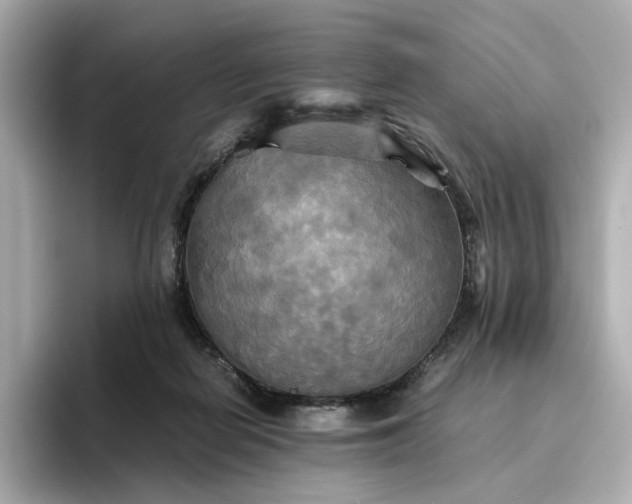 X0000095120266200712211315