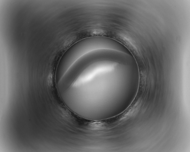 X0000095120269200712211316