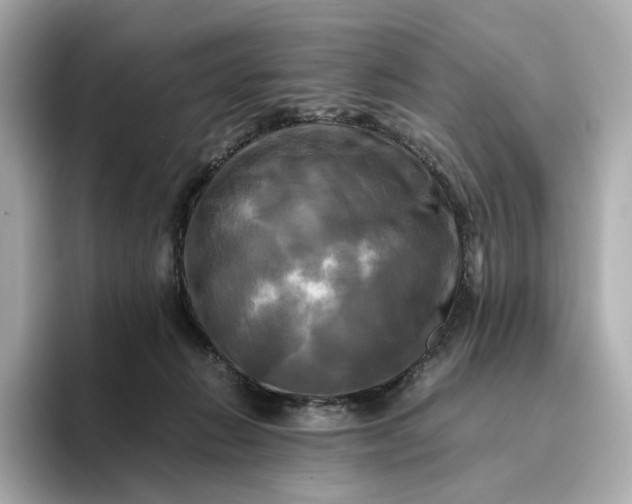 X0000095120270200712211316