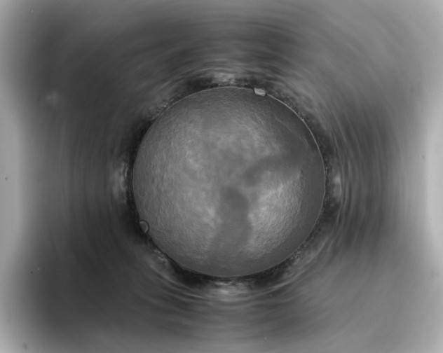 X0000095120275200712211316