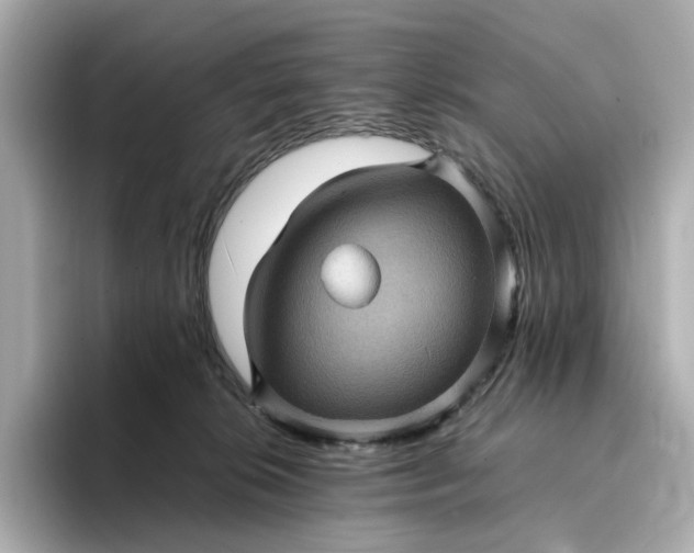 X0000095120276200712211316