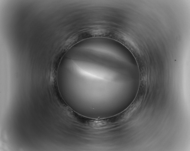 X0000095120277200712211316