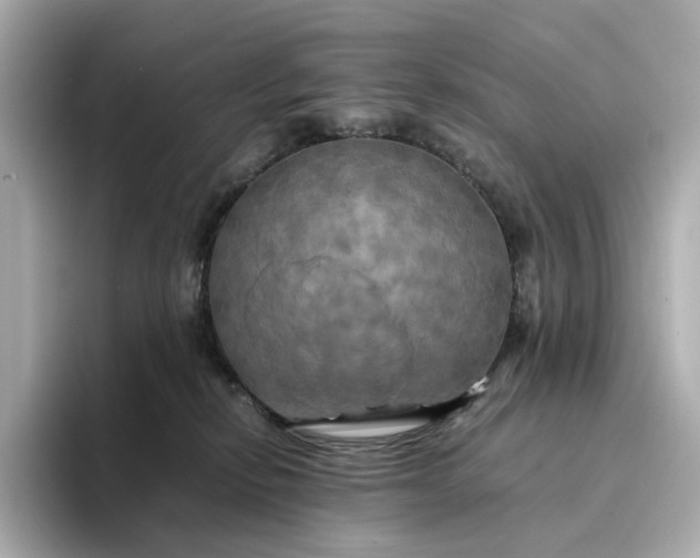 X0000095120278200712211316