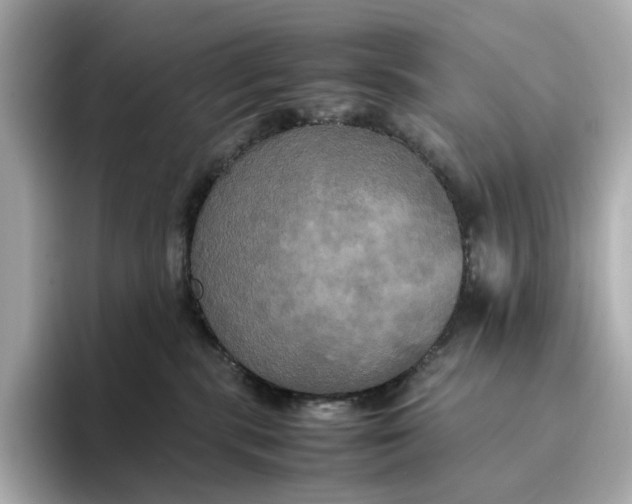 X0000095120283200712211316