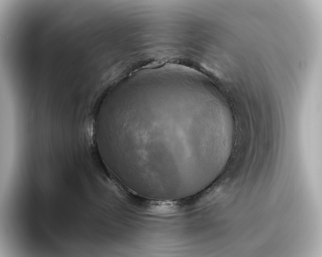 X0000095120288200712211316